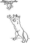 Der Fuchs und die Weintrauben
